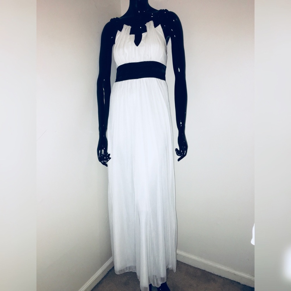 Beautiful Trixxi formal prom gown